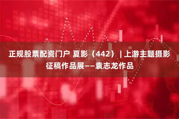 正规股票配资门户 夏影（442） | 上游主题摄影征稿作品展——袁志龙作品