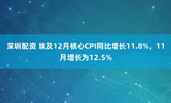 深圳配资 埃及12月核心CPI同比增长11.8%，11月增长为12.5%