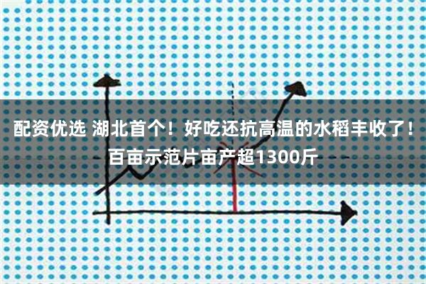 配资优选 湖北首个！好吃还抗高温的水稻丰收了！百亩示范片亩产超1300斤